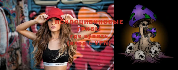 винт Инта