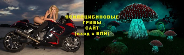 винт Инта