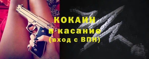 mdpv Инсар