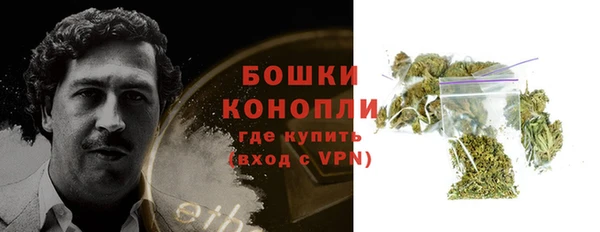 винт Инта
