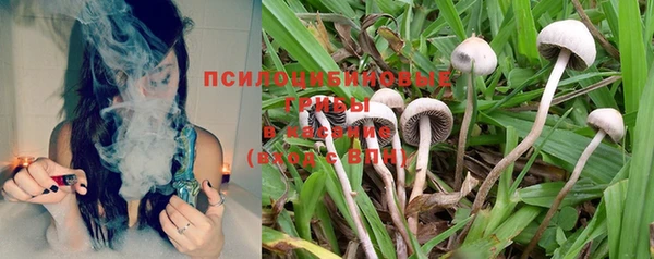 гидропоника Иннополис