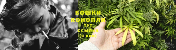 винт Инта