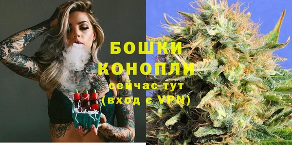 mdpv Инсар