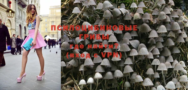 винт Инта