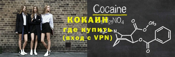 винт Инта